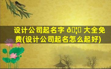 设计公司起名字 🦄 大全免费(设计公司起名怎么起好)
